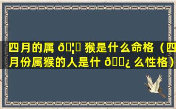 四月的属 🦉 猴是什么命格（四月份属猴的人是什 🌿 么性格）